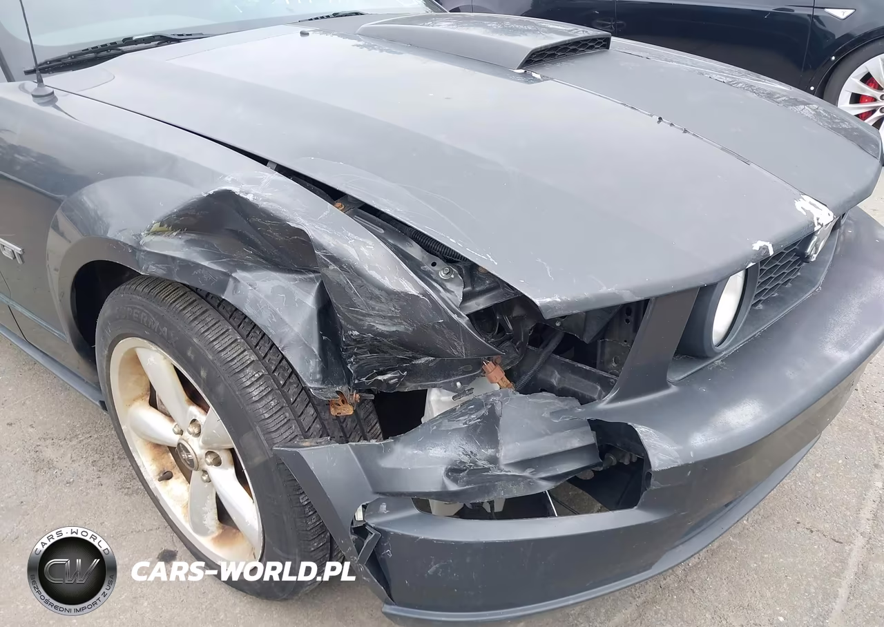 2008 Ford Mustang Gt Deluxe-Gt Premium VIN:1ZVHT82H585138642 - 6
