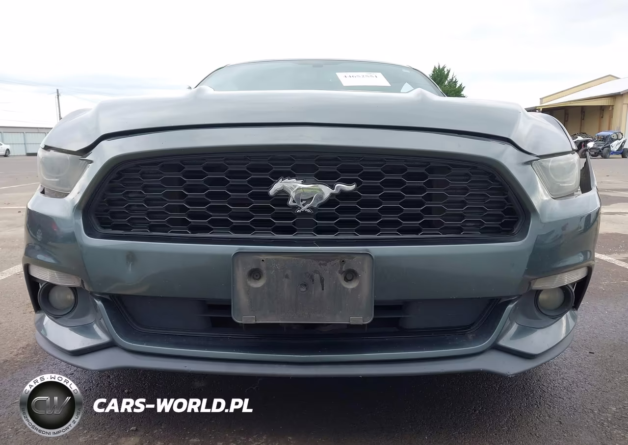 2015 Ford Mustang Ecoboost VIN:1FA6P8TH6F5416108 - 13