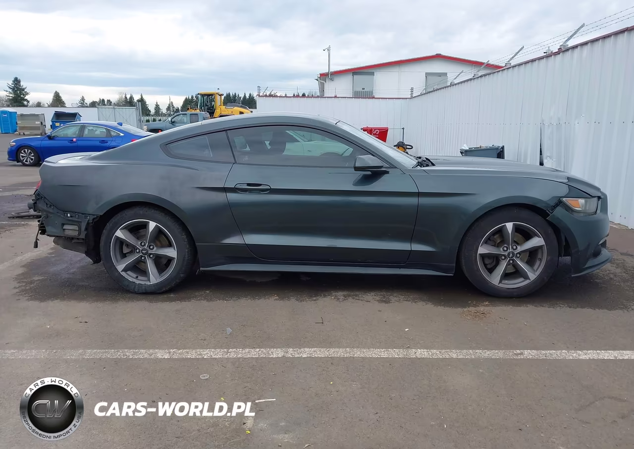 2015 Ford Mustang Ecoboost VIN:1FA6P8TH6F5416108 - 14