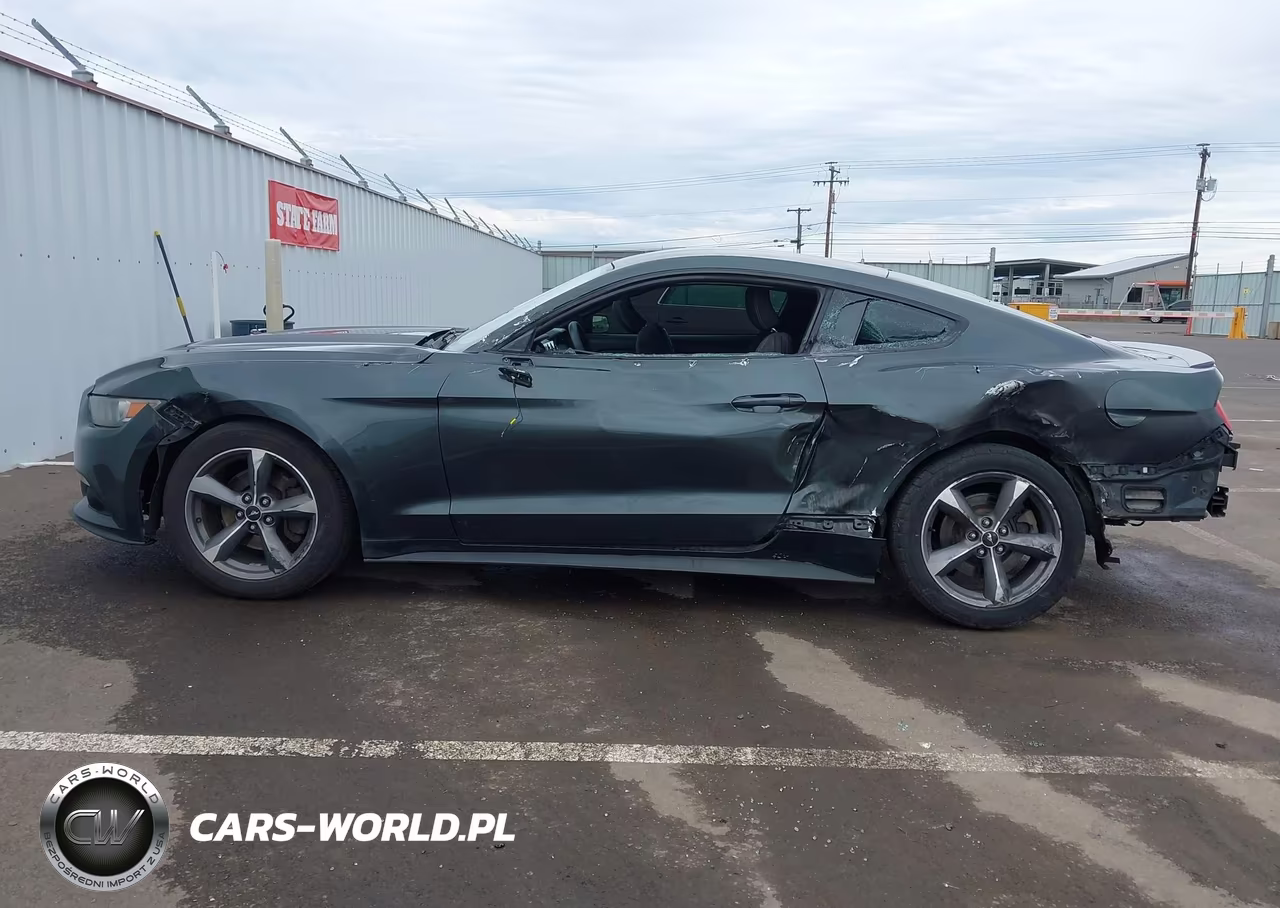2015 Ford Mustang Ecoboost VIN:1FA6P8TH6F5416108 - 15