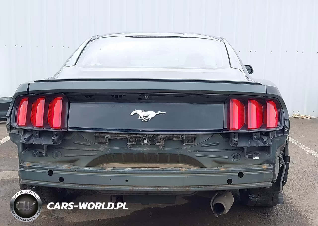 2015 Ford Mustang Ecoboost VIN:1FA6P8TH6F5416108 - 17