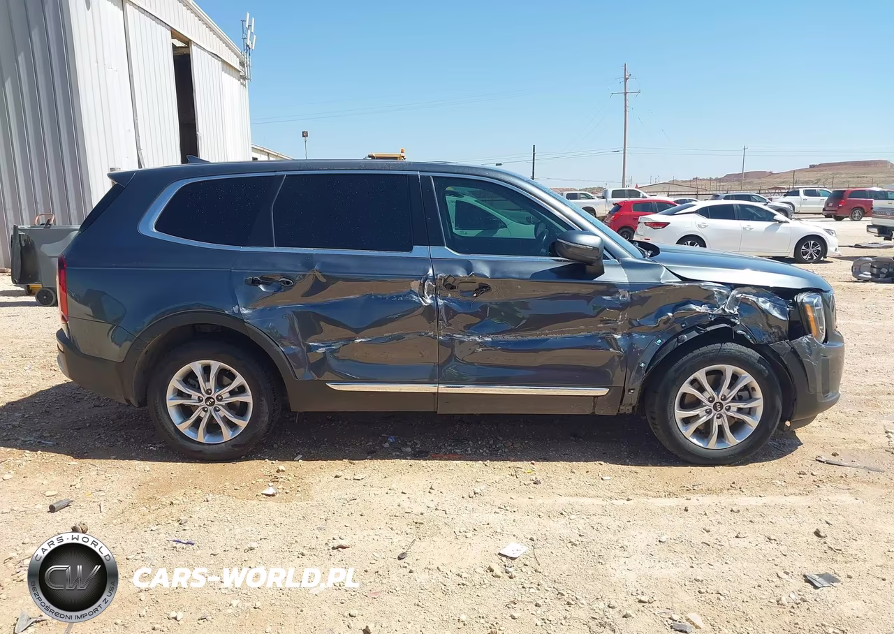 2020 Kia Telluride Lx VIN:5XYP24HC1LG069034 - 13