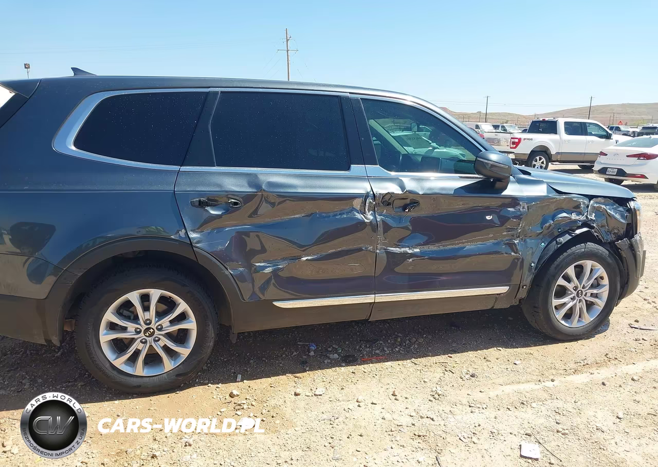 2020 Kia Telluride Lx VIN:5XYP24HC1LG069034 - 19