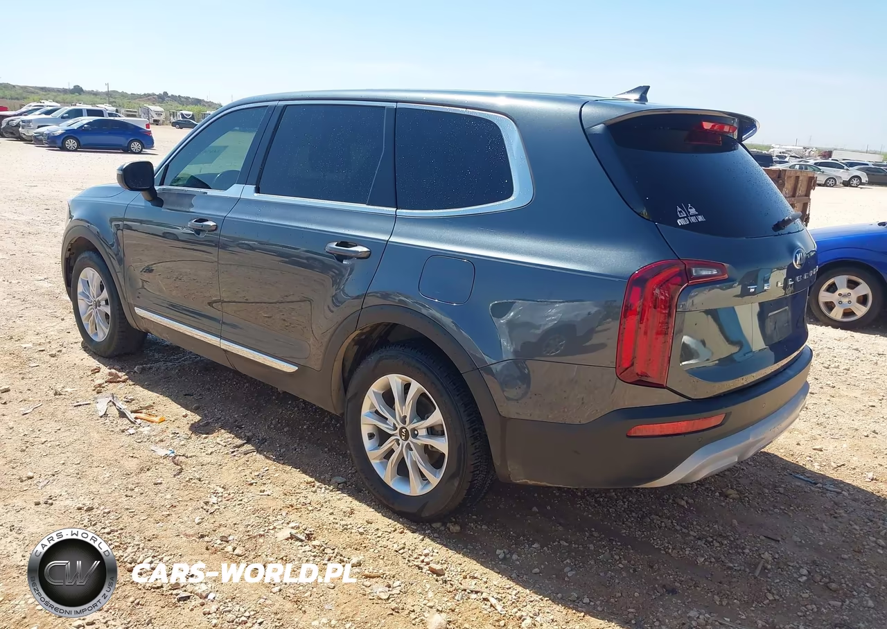 2020 Kia Telluride Lx VIN:5XYP24HC1LG069034 - 3