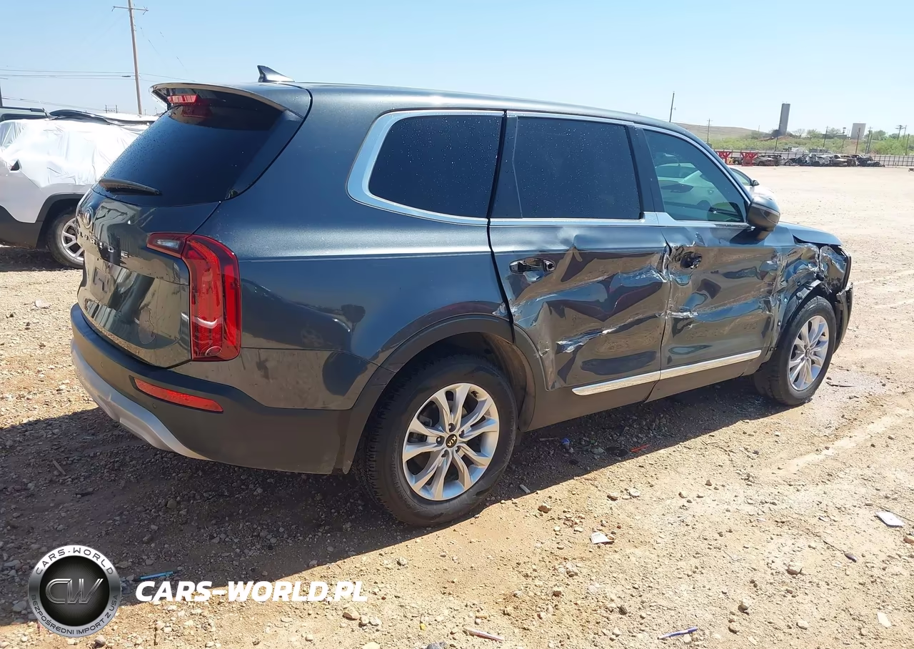 2020 Kia Telluride Lx VIN:5XYP24HC1LG069034 - 4
