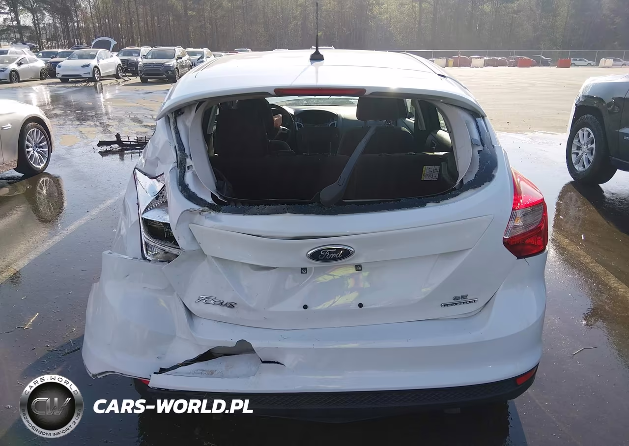 2014 Ford Focus Se VIN:1FADP3K20EL345750 - 17