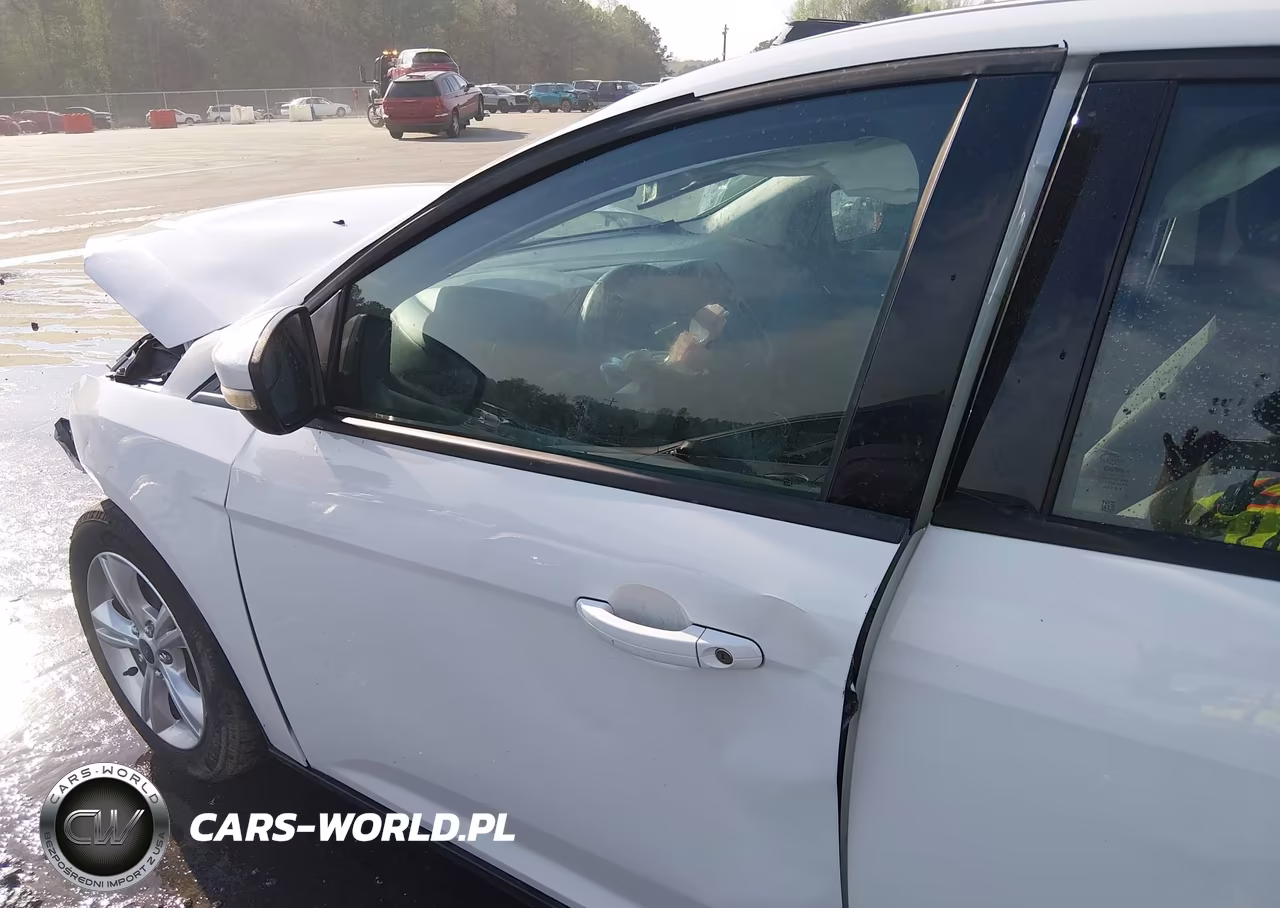 2014 Ford Focus Se VIN:1FADP3K20EL345750 - 19