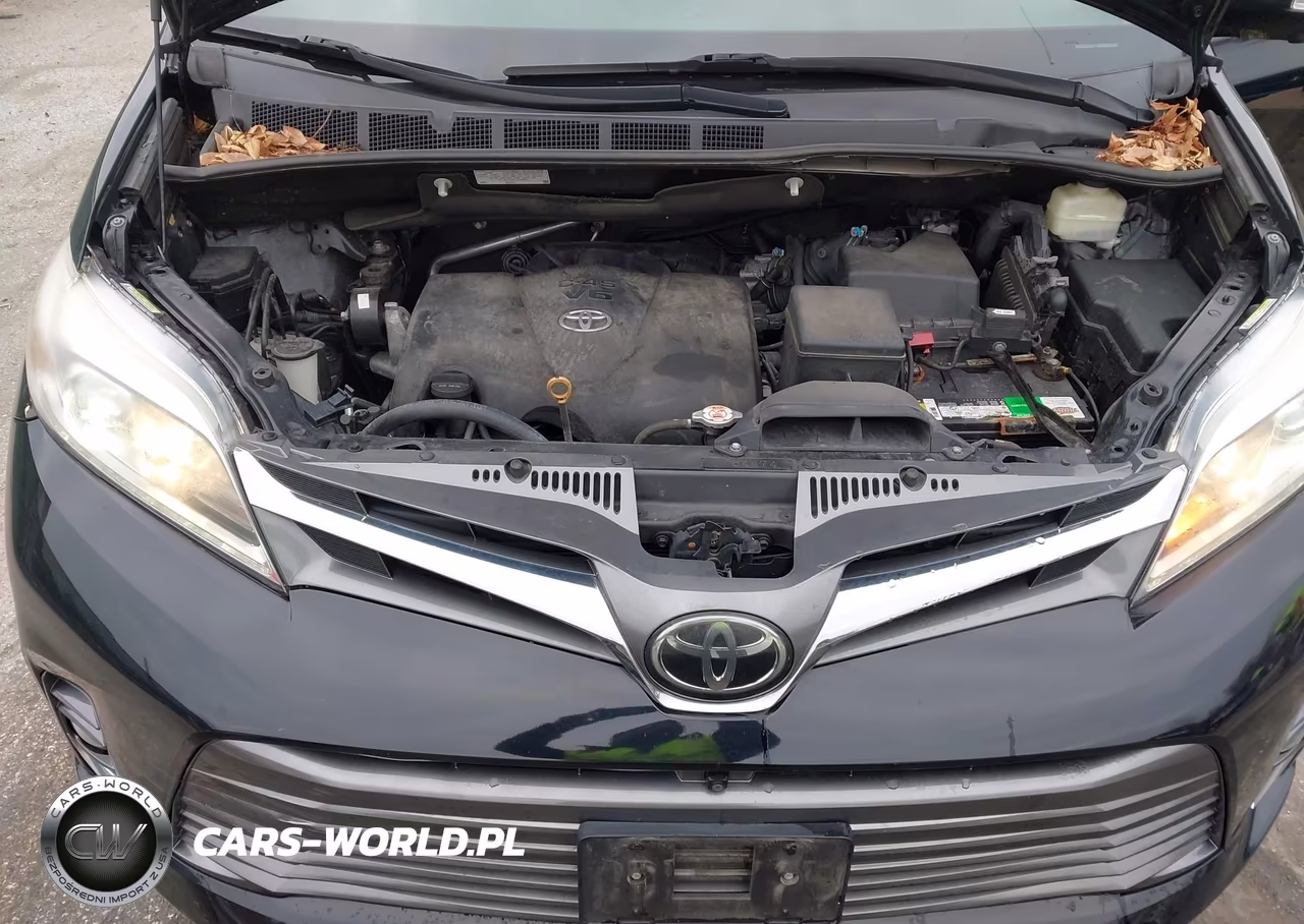 2019 Toyota Sienna Limited Premium 7 Passenger VIN:5TDYZ3DC8KS993780 - 10
