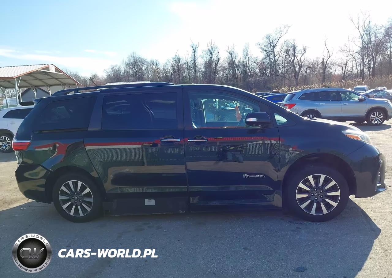 2019 Toyota Sienna Limited Premium 7 Passenger VIN:5TDYZ3DC8KS993780 - 13