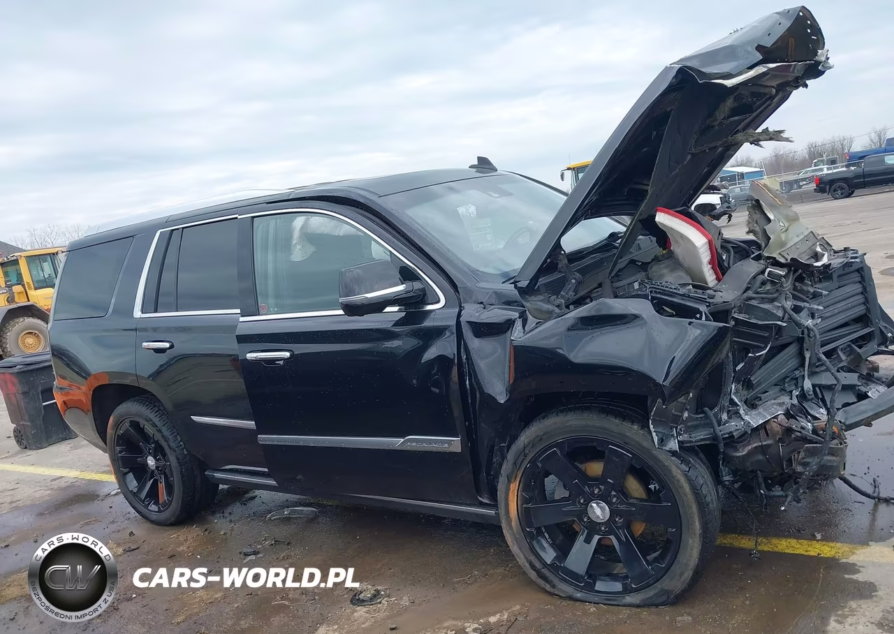 2016 Cadillac Escalade Platinum VIN:1GYS4DKJ0GR447602 - 13