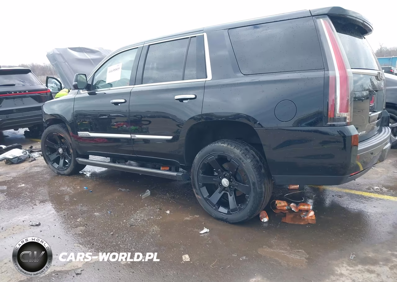2016 Cadillac Escalade Platinum VIN:1GYS4DKJ0GR447602 - 14