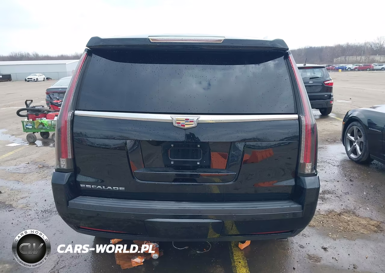 2016 Cadillac Escalade Platinum VIN:1GYS4DKJ0GR447602 - 16