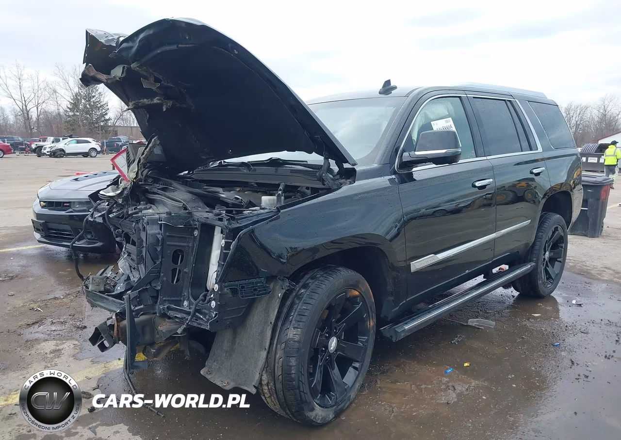 2016 Cadillac Escalade Platinum VIN:1GYS4DKJ0GR447602 - 2