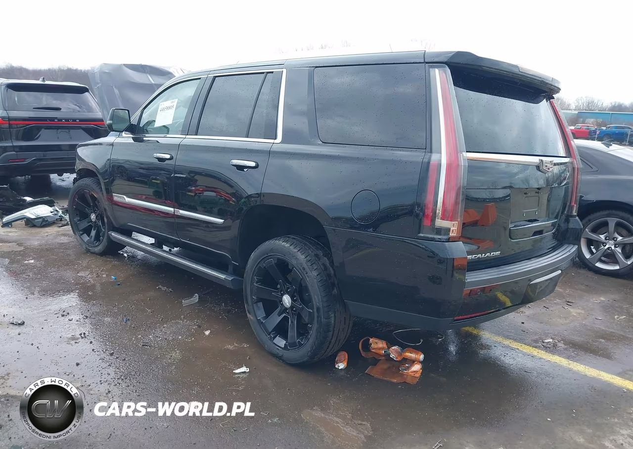 2016 Cadillac Escalade Platinum VIN:1GYS4DKJ0GR447602 - 3