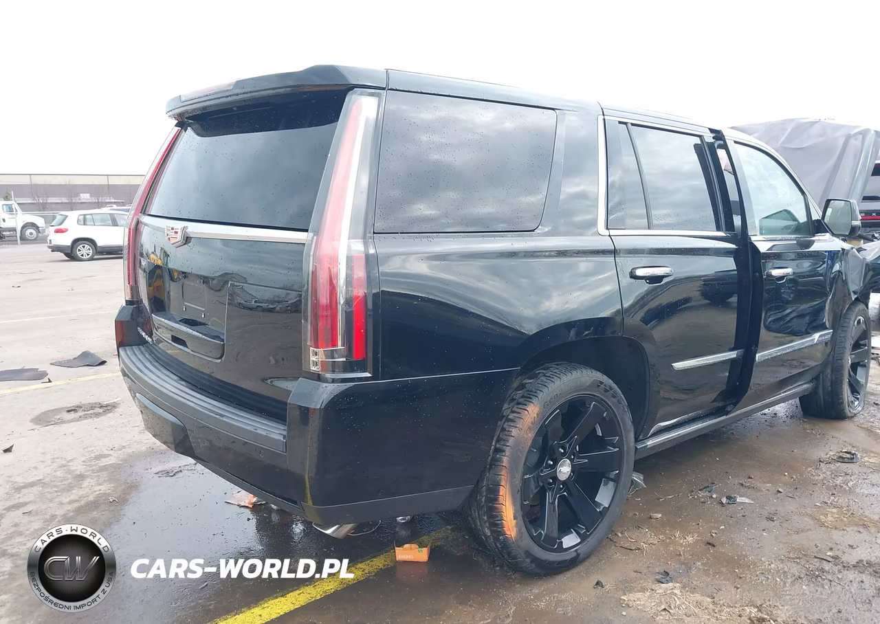 2016 Cadillac Escalade Platinum VIN:1GYS4DKJ0GR447602 - 4