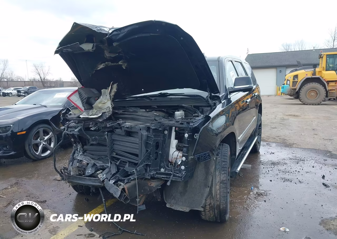 2016 Cadillac Escalade Platinum VIN:1GYS4DKJ0GR447602 - 6