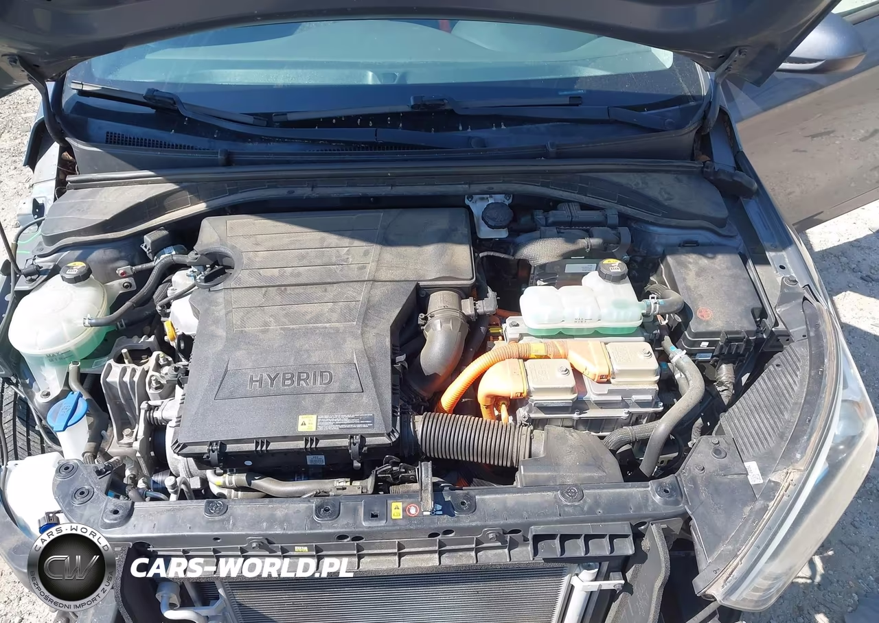 2019 Hyundai Ioniq Hybrid Blue VIN:KMHC65LC1KU119813 - 10