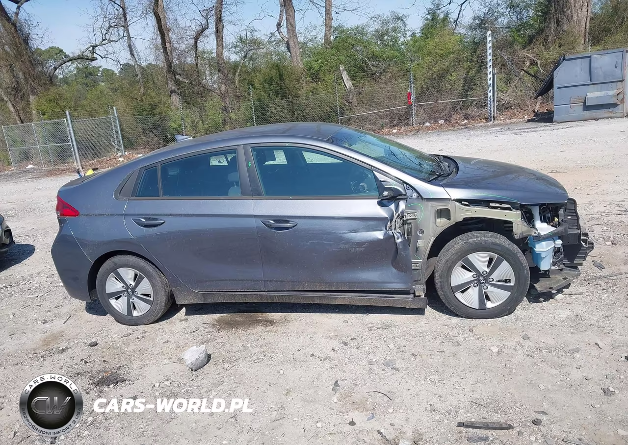 2019 Hyundai Ioniq Hybrid Blue VIN:KMHC65LC1KU119813 - 13