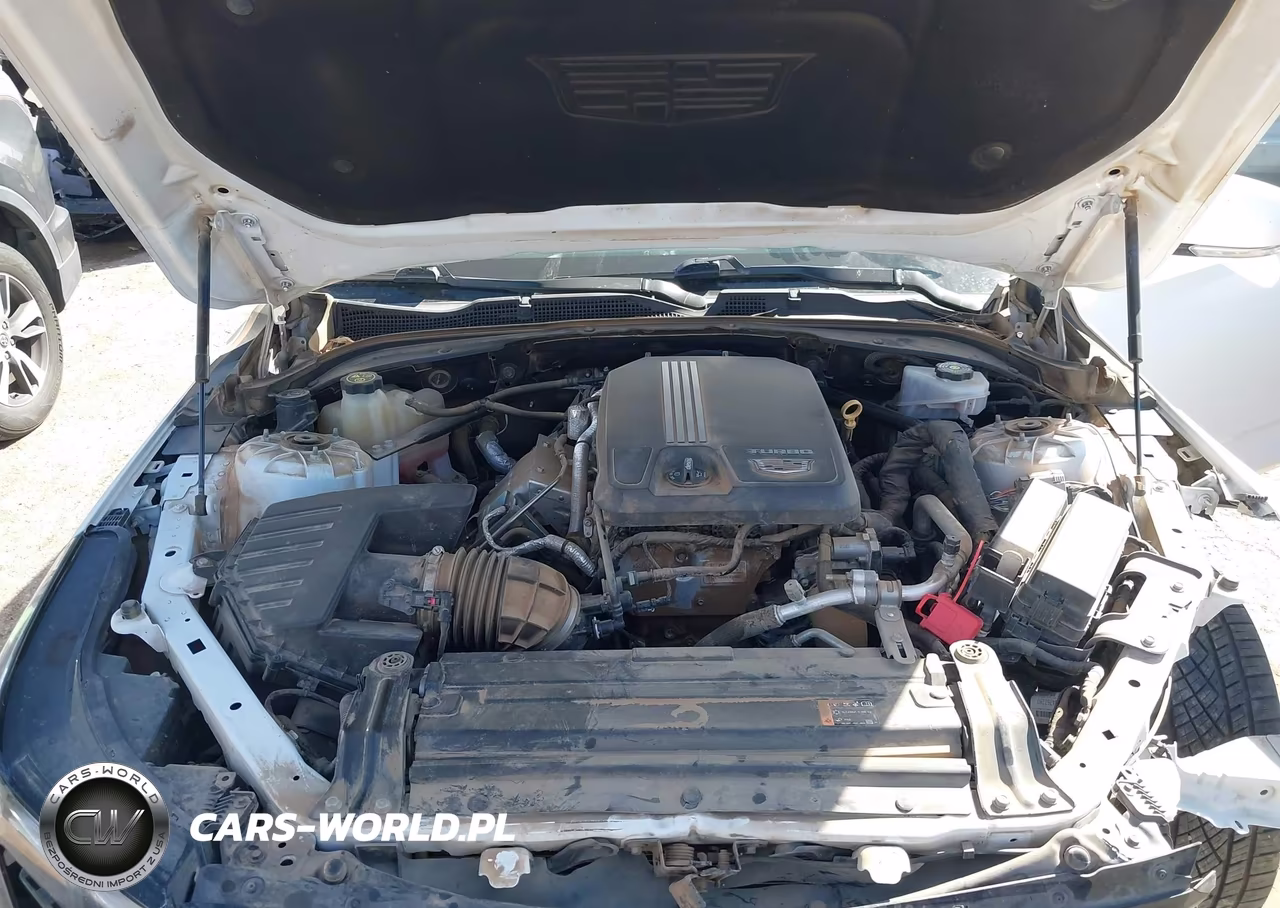2020 Cadillac Ct4 Luxury VIN:1G6DJ5RK5L0142240 - 10