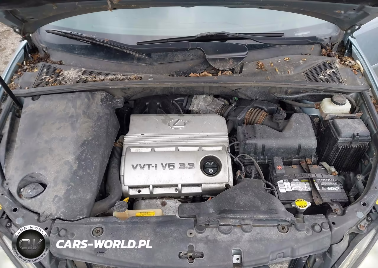 2005 Lexus Rx 330 VIN:JTJHA31U150082909 - 10
