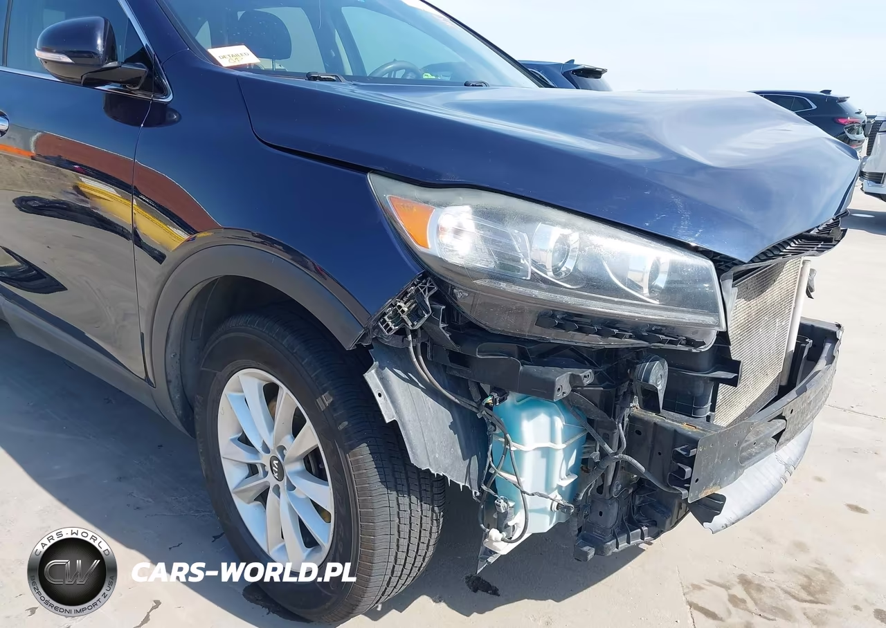 2020 Kia Sorento 2.4L Lx VIN:5XYPG4A37LG688832 - 16