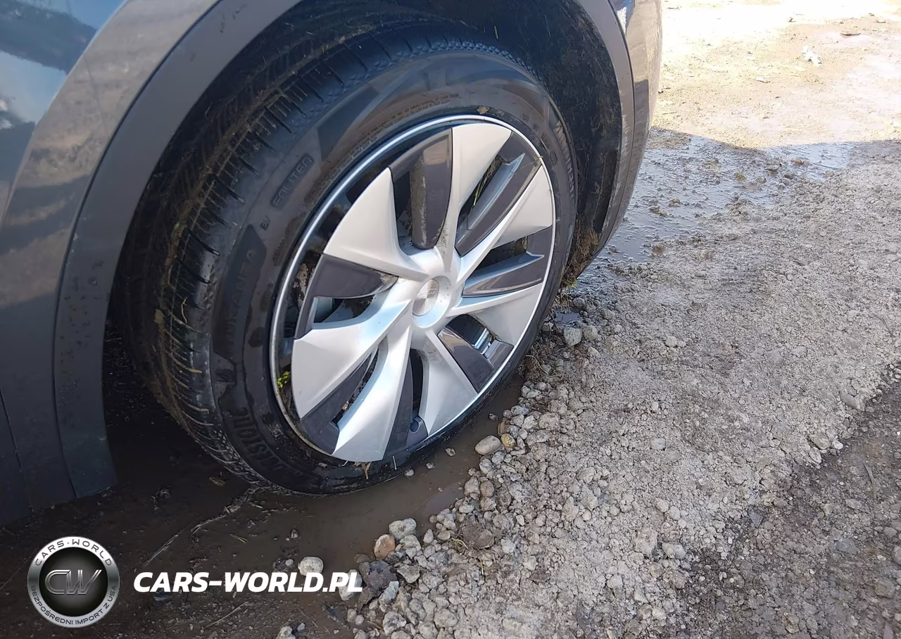 2023 Tesla Model Y Rwd VIN:7SAYGDED5PF964786 - 22