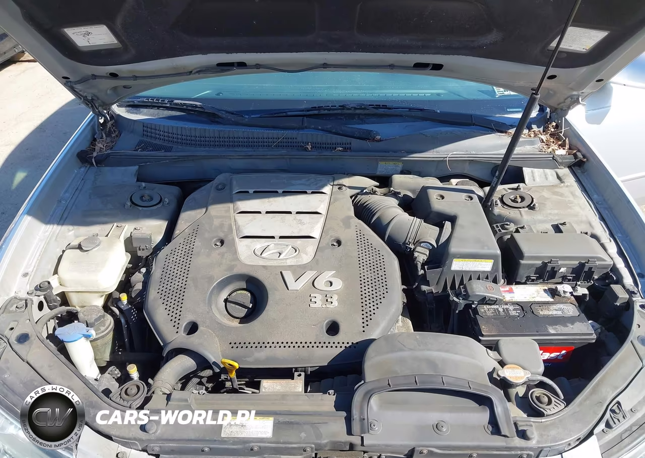 2006 Hyundai Sonata Gls V6-Lx V6 VIN:5NPEU46FX6H017364 - 10