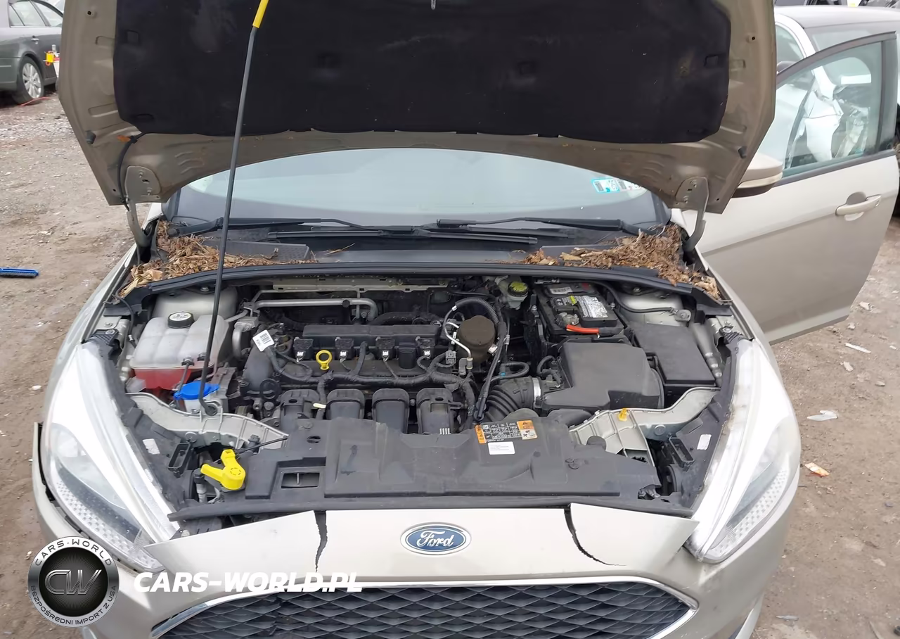 2015 Ford Focus Se VIN:1FADP3K20FL380936 - 10