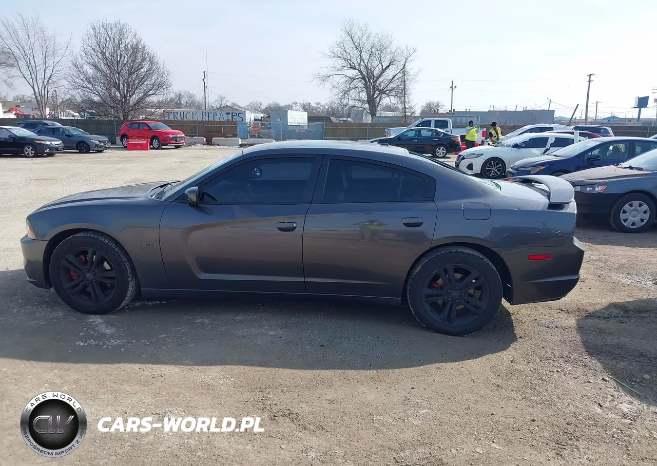 2013 Dodge Charger R-T Max VIN:2C3CDXDT5DH673886 - 14