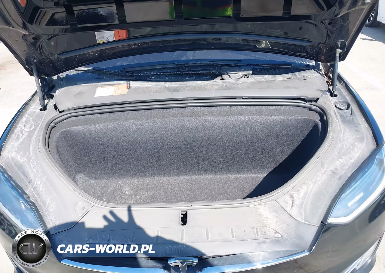 2018 Tesla Model X 100D-75D-P100D VIN:5YJXCBE23JF103587 - 10