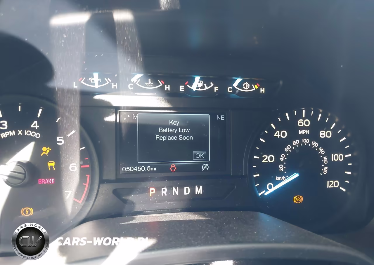 2019 Ford F-150 Xl VIN:1FTEW1CP6KKC29776 - 15