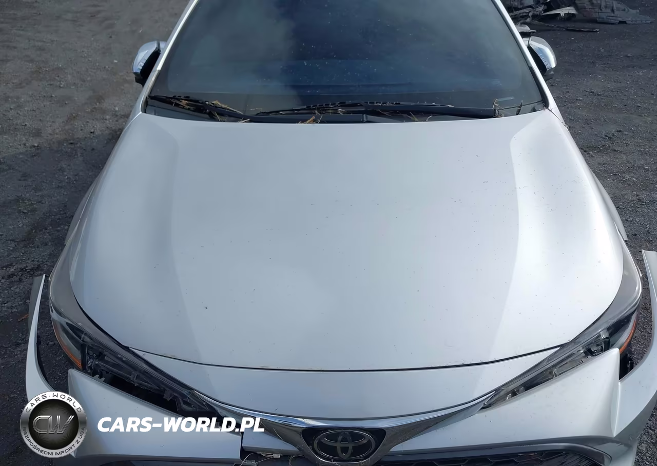 2019 Toyota Corolla Se-Xse VIN:JTNK4RBE0K3010325 - 10