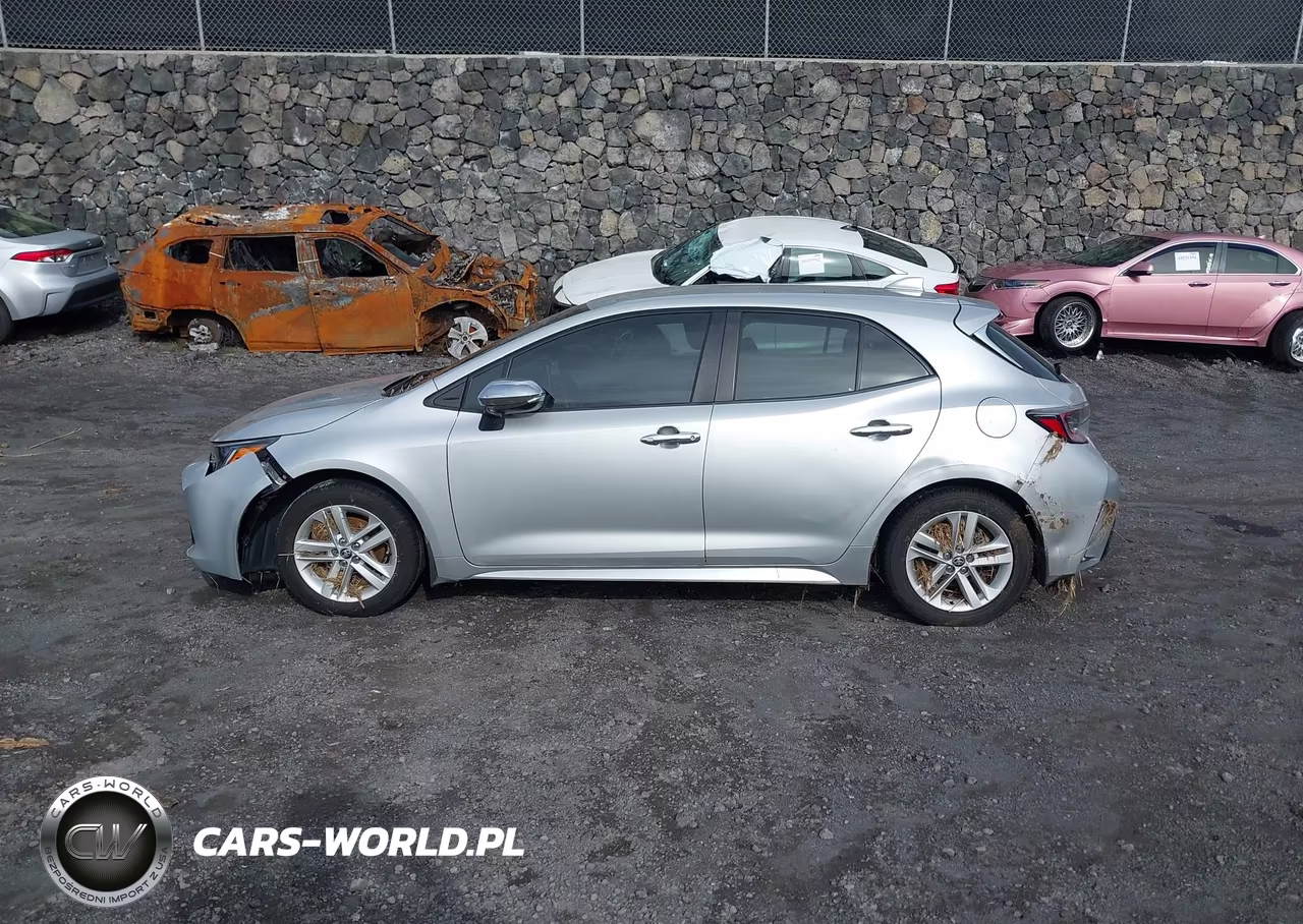 2019 Toyota Corolla Se-Xse VIN:JTNK4RBE0K3010325 - 6