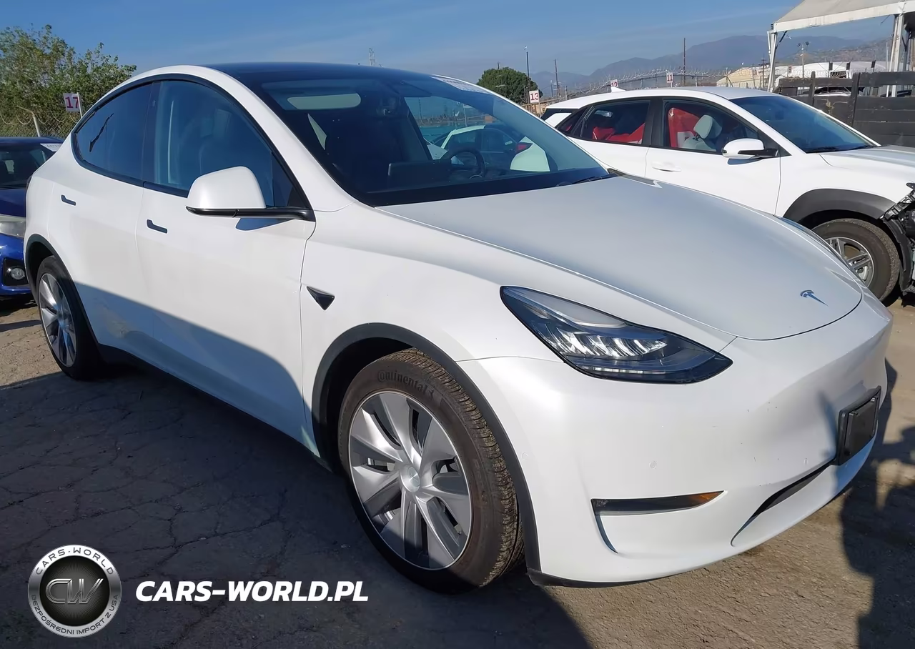 2020 Tesla Model Y Long Range Dual Motor All-Wheel Drive