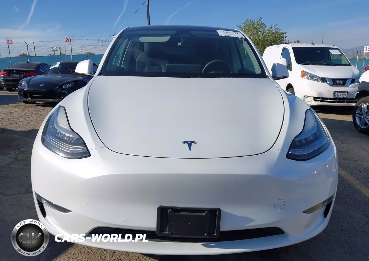 2020 Tesla Model Y Long Range Dual Motor All-Wheel Drive VIN:5YJYGDEE7LF013781 - 13