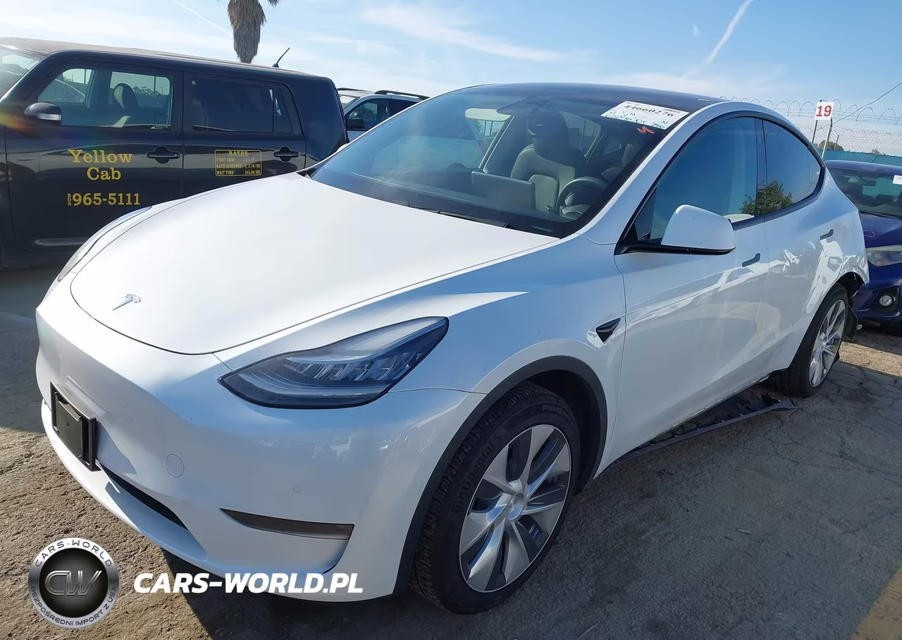 2020 Tesla Model Y Long Range Dual Motor All-Wheel Drive VIN:5YJYGDEE7LF013781 - 2