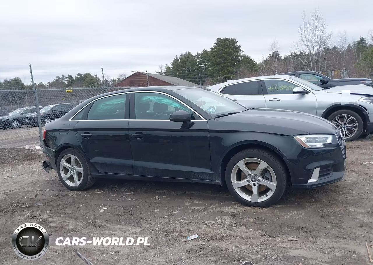 2019 Audi A3 40 Premium-40 Titanium Premium VIN:WAUAUGFF7K1011259 - 13