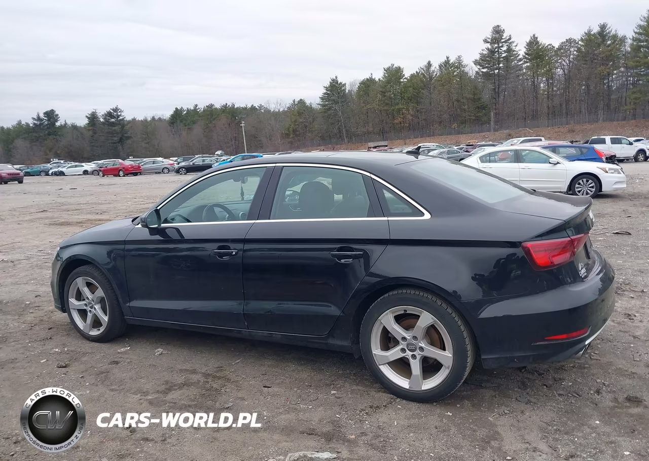 2019 Audi A3 40 Premium-40 Titanium Premium VIN:WAUAUGFF7K1011259 - 14