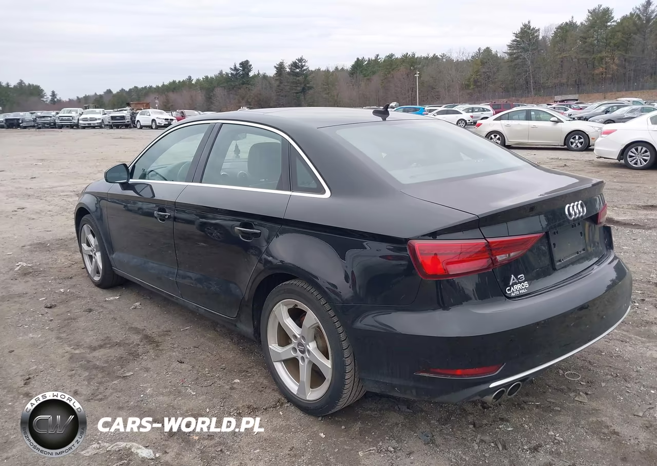 2019 Audi A3 40 Premium-40 Titanium Premium VIN:WAUAUGFF7K1011259 - 3