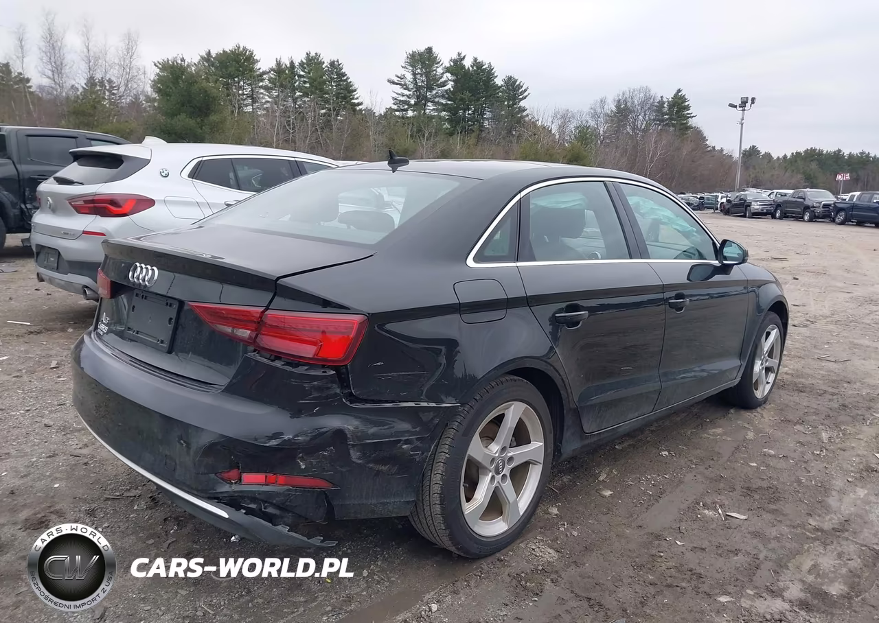 2019 Audi A3 40 Premium-40 Titanium Premium VIN:WAUAUGFF7K1011259 - 4