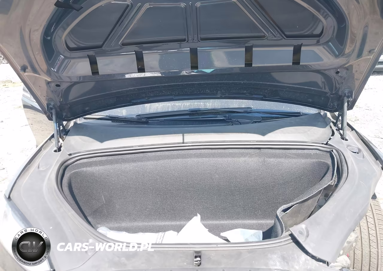 2019 Tesla Model X 100D-75D-Long Range-Standard Range VIN:5YJXCDE29KF180249 - 10