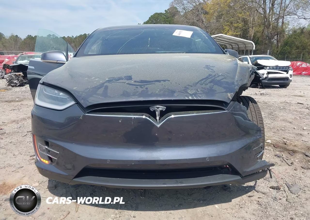 2019 Tesla Model X 100D-75D-Long Range-Standard Range VIN:5YJXCDE29KF180249 - 12