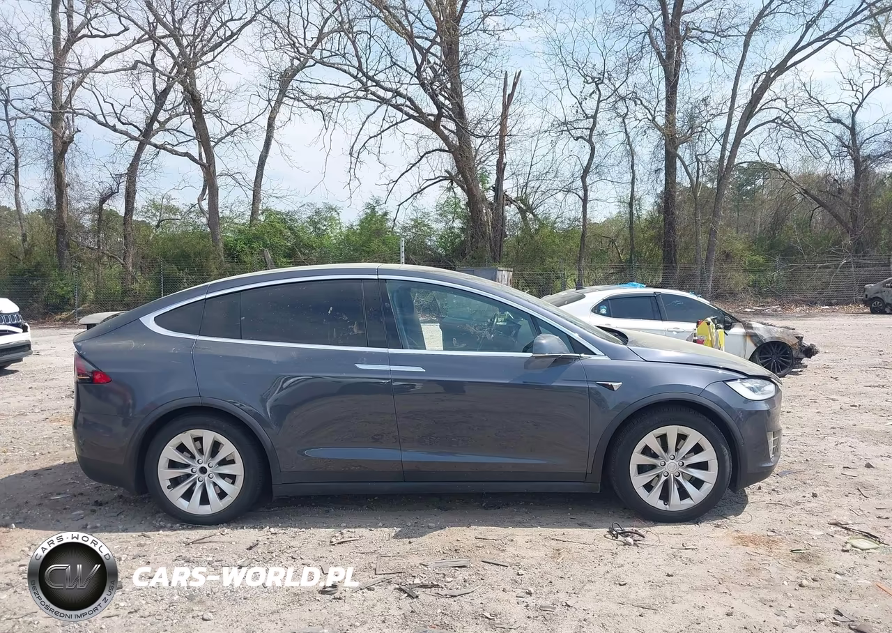 2019 Tesla Model X 100D-75D-Long Range-Standard Range VIN:5YJXCDE29KF180249 - 13