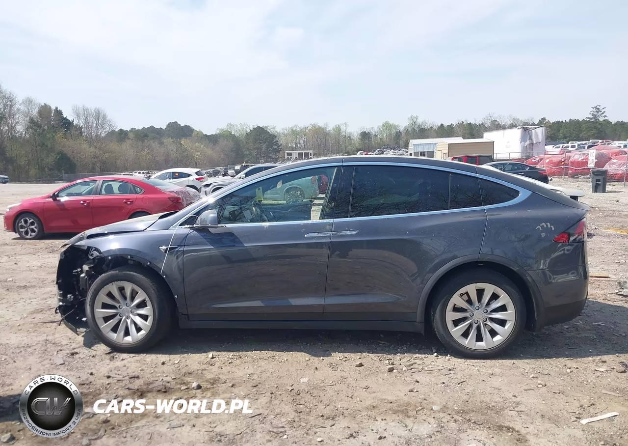 2019 Tesla Model X 100D-75D-Long Range-Standard Range VIN:5YJXCDE29KF180249 - 14