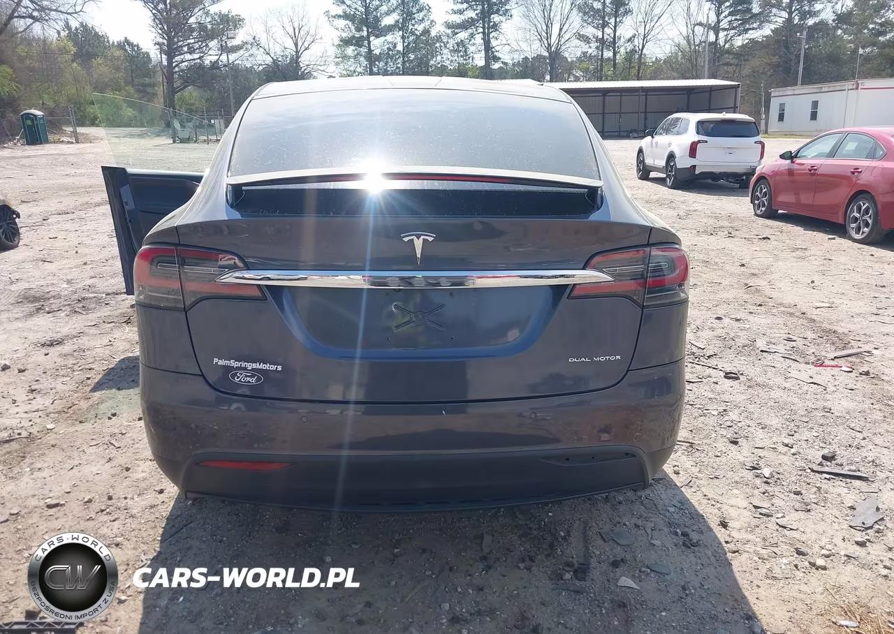 2019 Tesla Model X 100D-75D-Long Range-Standard Range VIN:5YJXCDE29KF180249 - 16