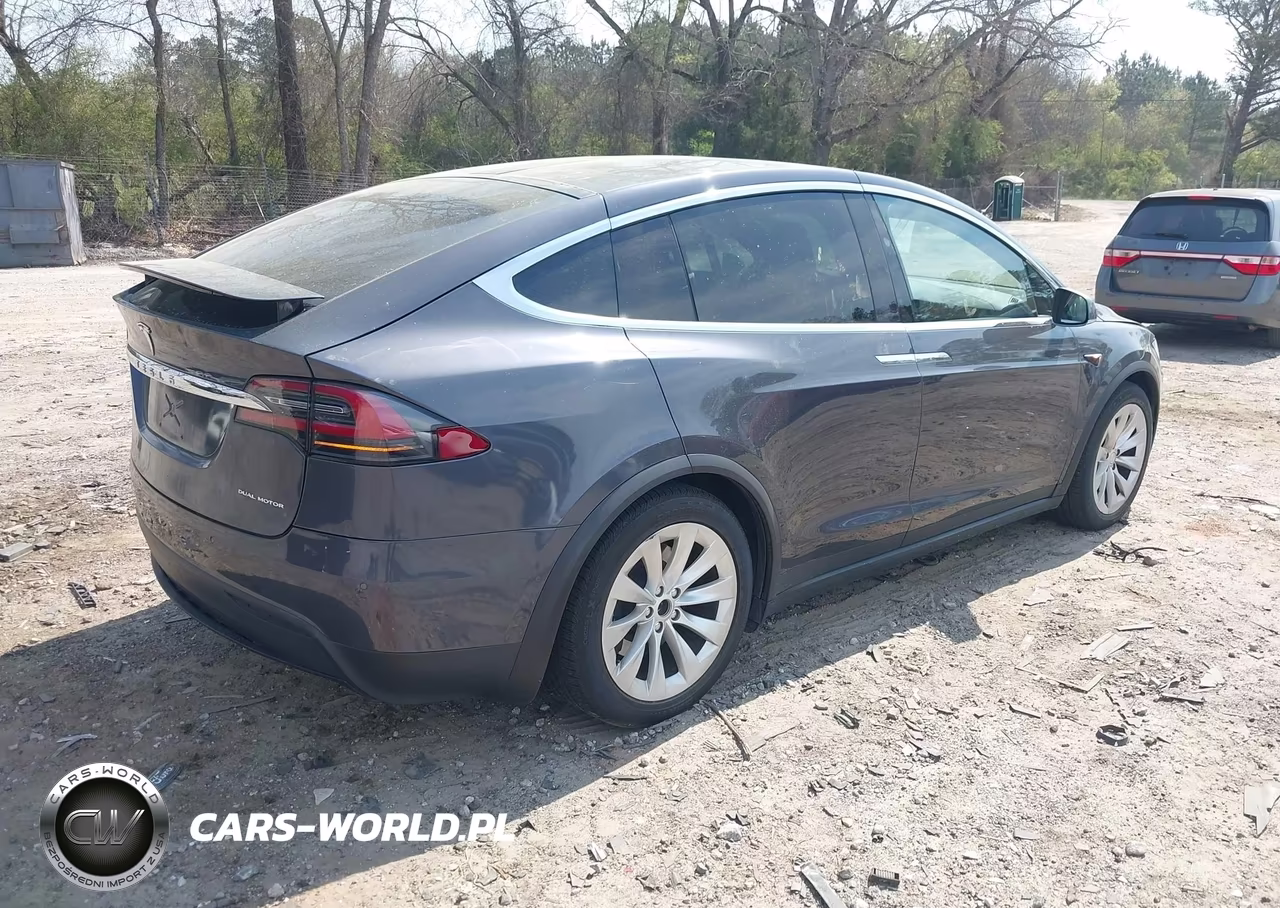 2019 Tesla Model X 100D-75D-Long Range-Standard Range VIN:5YJXCDE29KF180249 - 4