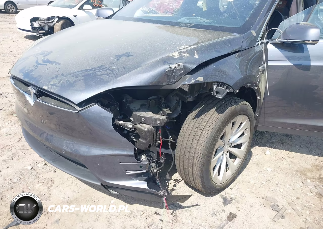 2019 Tesla Model X 100D-75D-Long Range-Standard Range VIN:5YJXCDE29KF180249 - 6