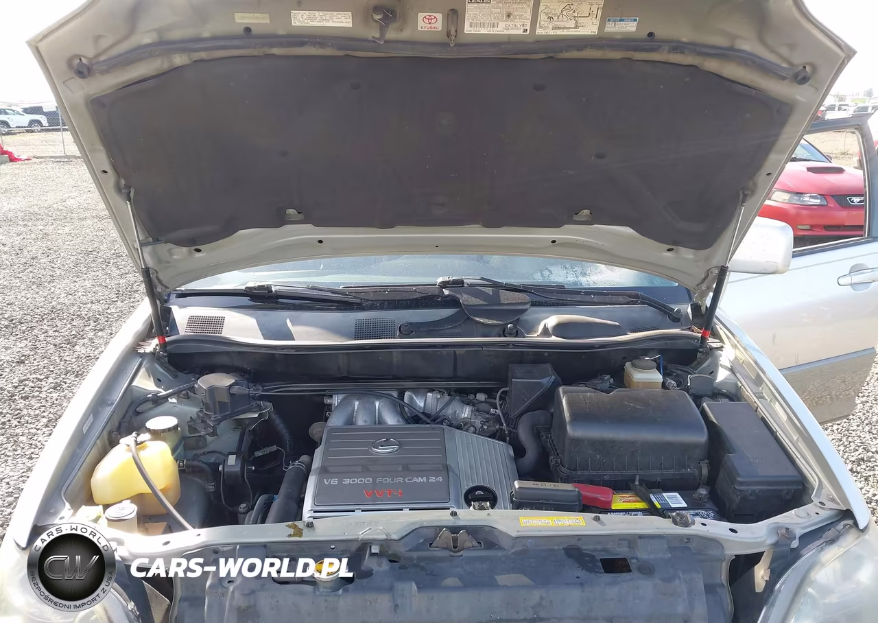 1999 Lexus Rx 300 VIN:JT6HF10U1X0060171 - 10