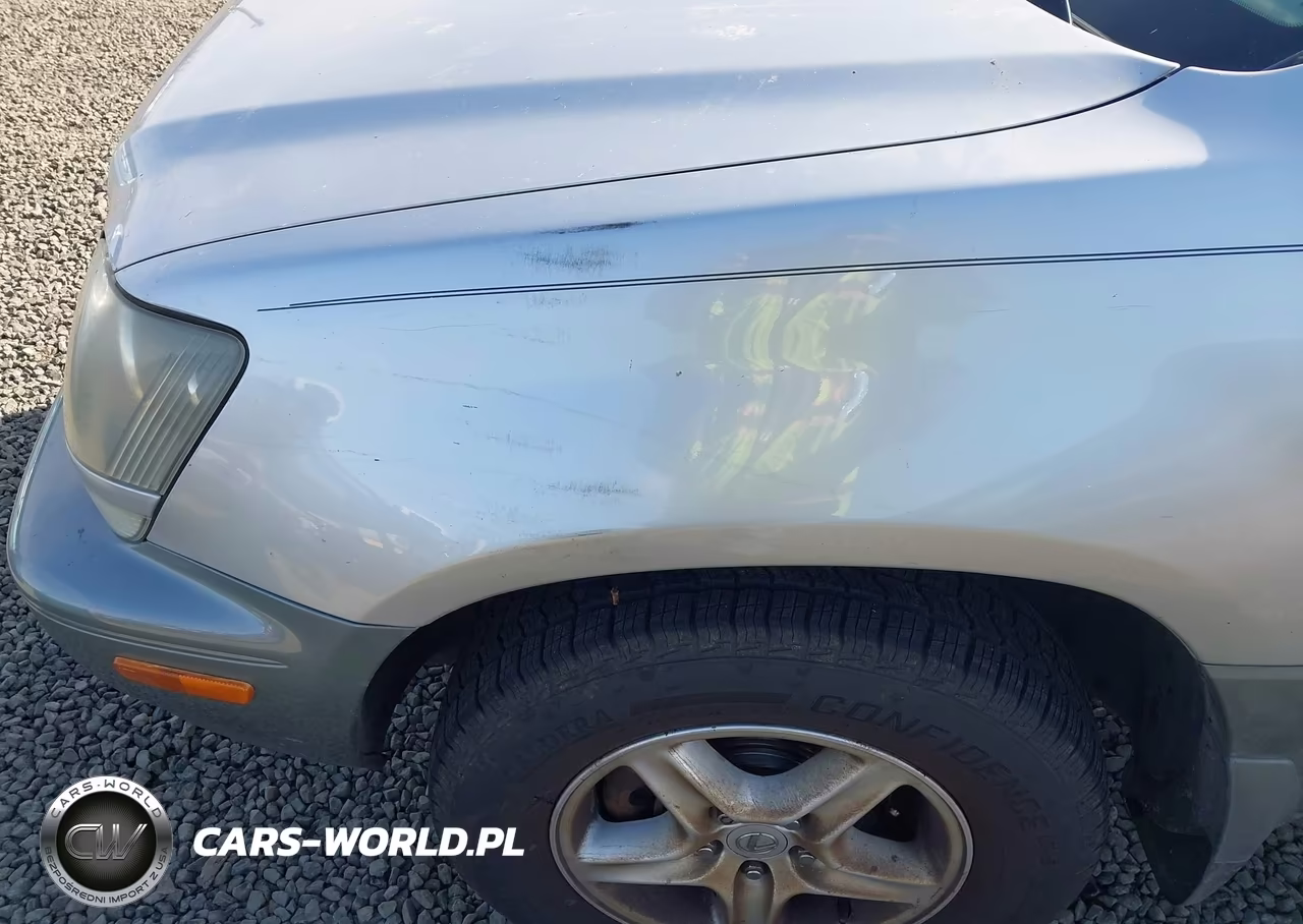 1999 Lexus Rx 300 VIN:JT6HF10U1X0060171 - 6
