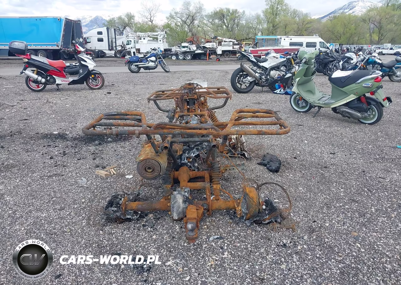 2011 Honda Trx500 Fpa VIN:1HFTE26E8B4100183 - 6